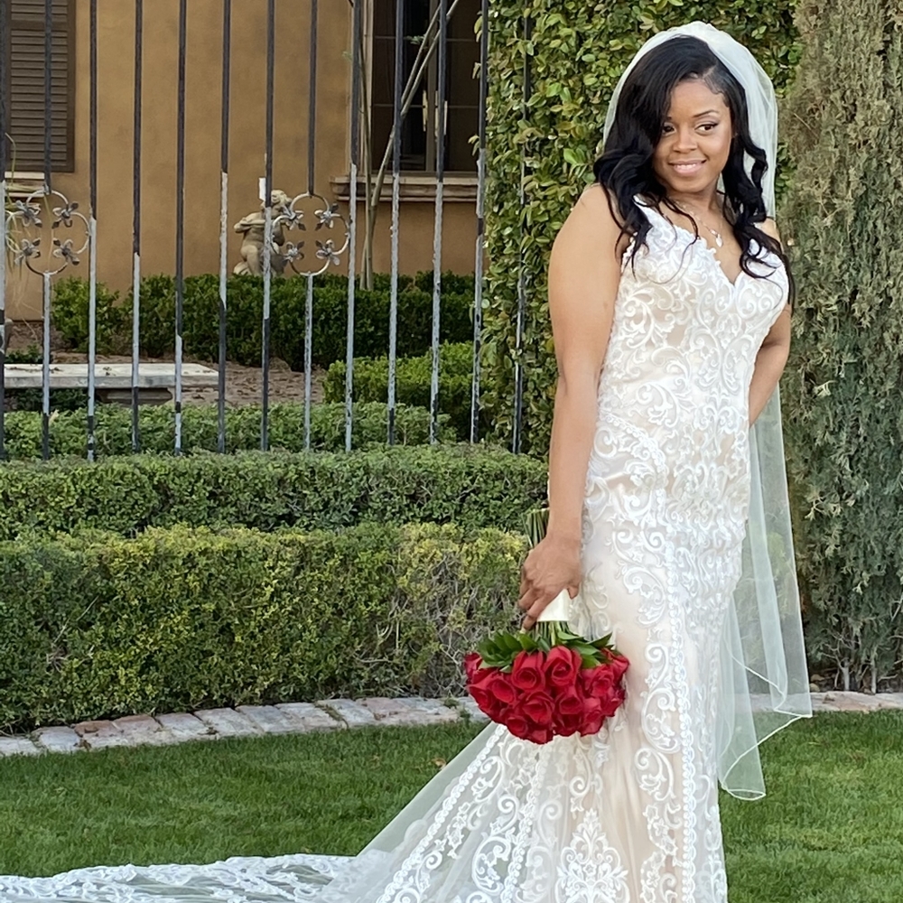Wedding dress and matching veil